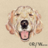 image01 Make A Wish – Original Pastel Artwork
