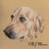 image02 Whisper – Original Pastel Artwork